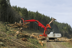 forestry-logging