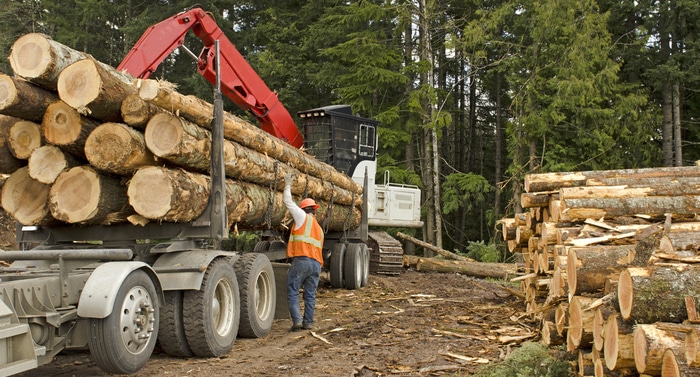 Forestry & Logging Industry